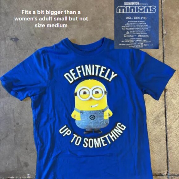 Sanrio and Cartoon Character T-Shirt Lot - Hello Kitty, Bluey, Minions - Picture 7 of 9